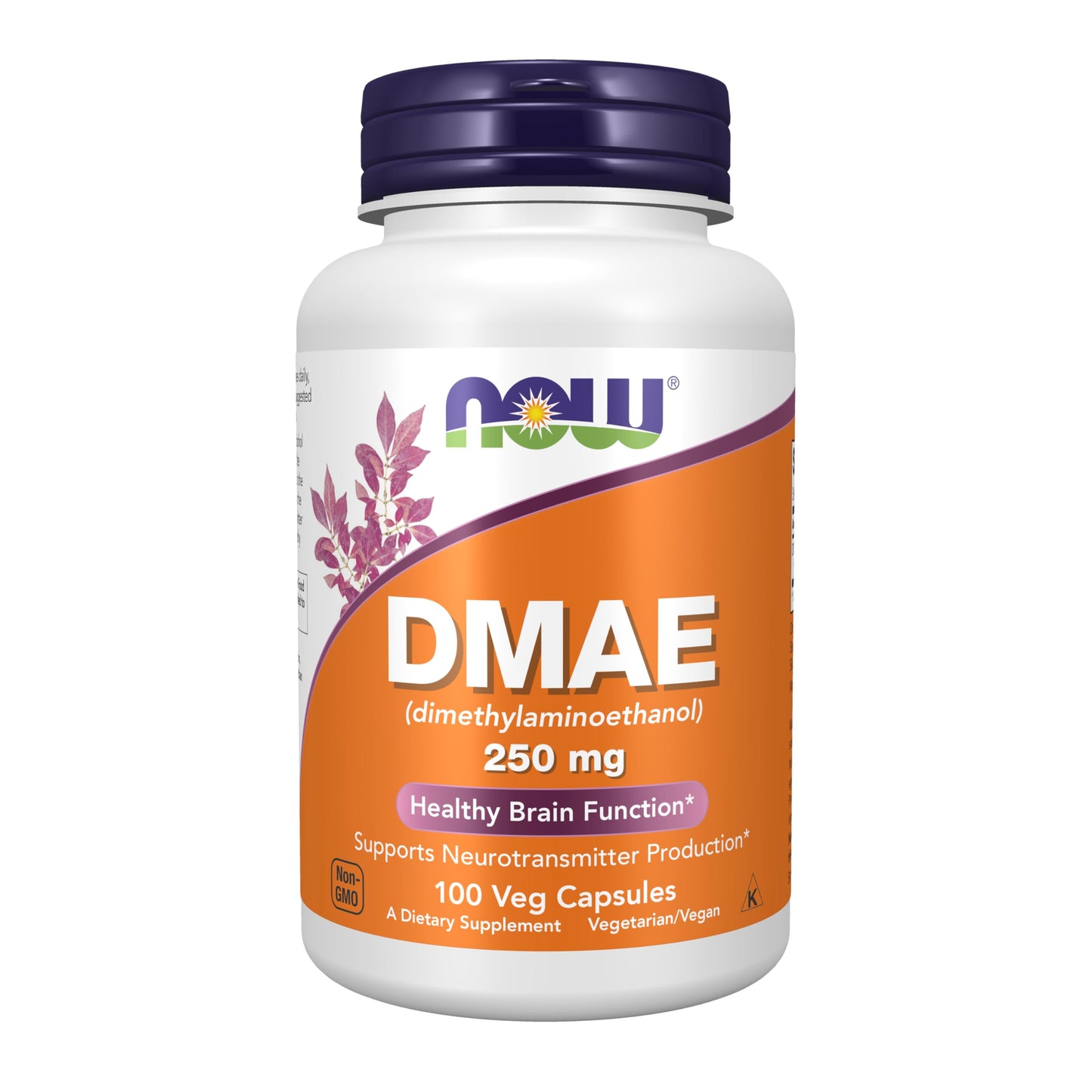 DMAE 250mg 100ct