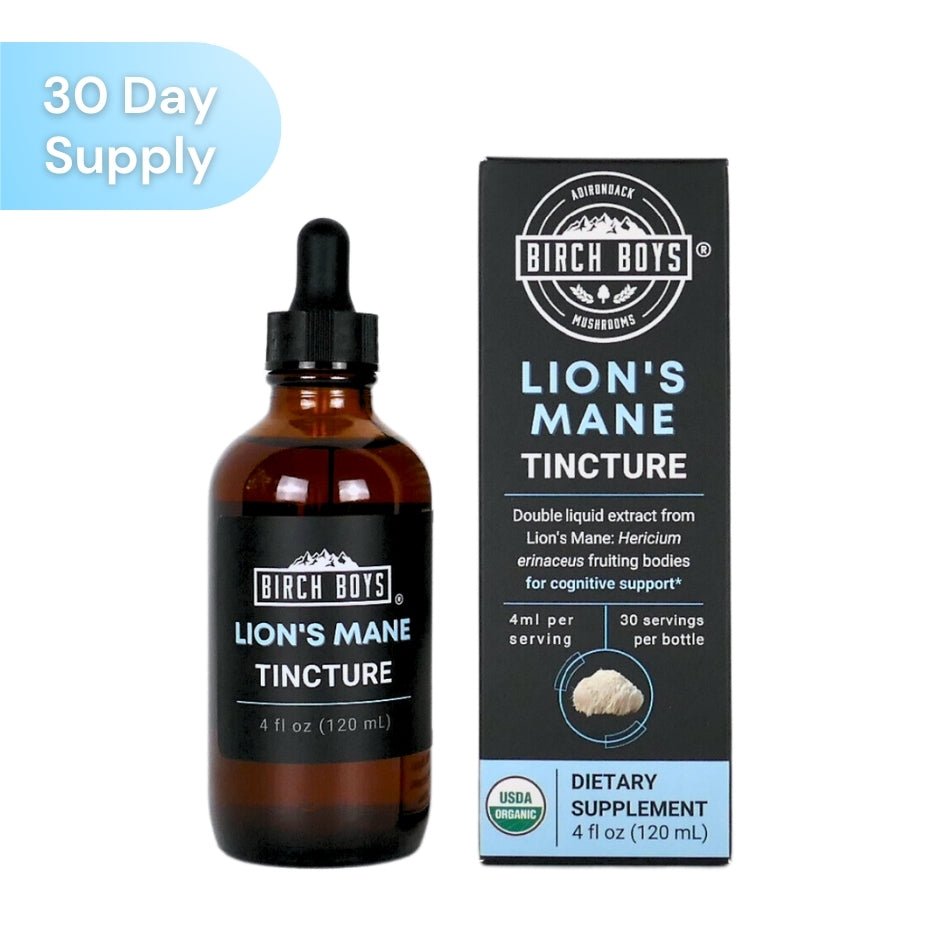 Lion's Mane Organic Tincture 4oz