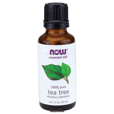 Tea Tree Essential Oil 1fl oz