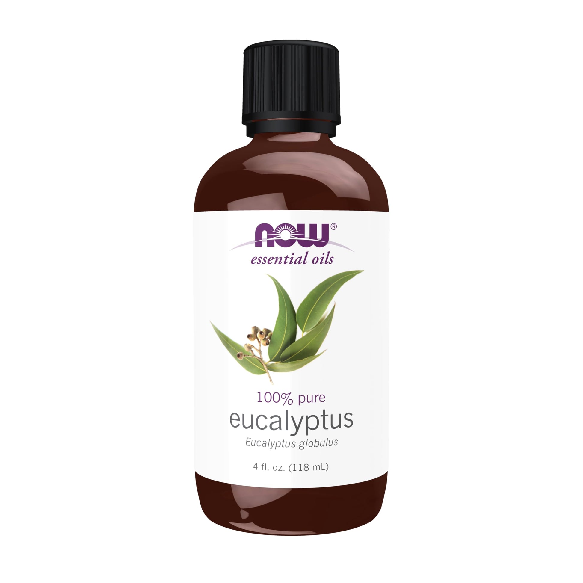 Eucalyptus Oil 4fl oz