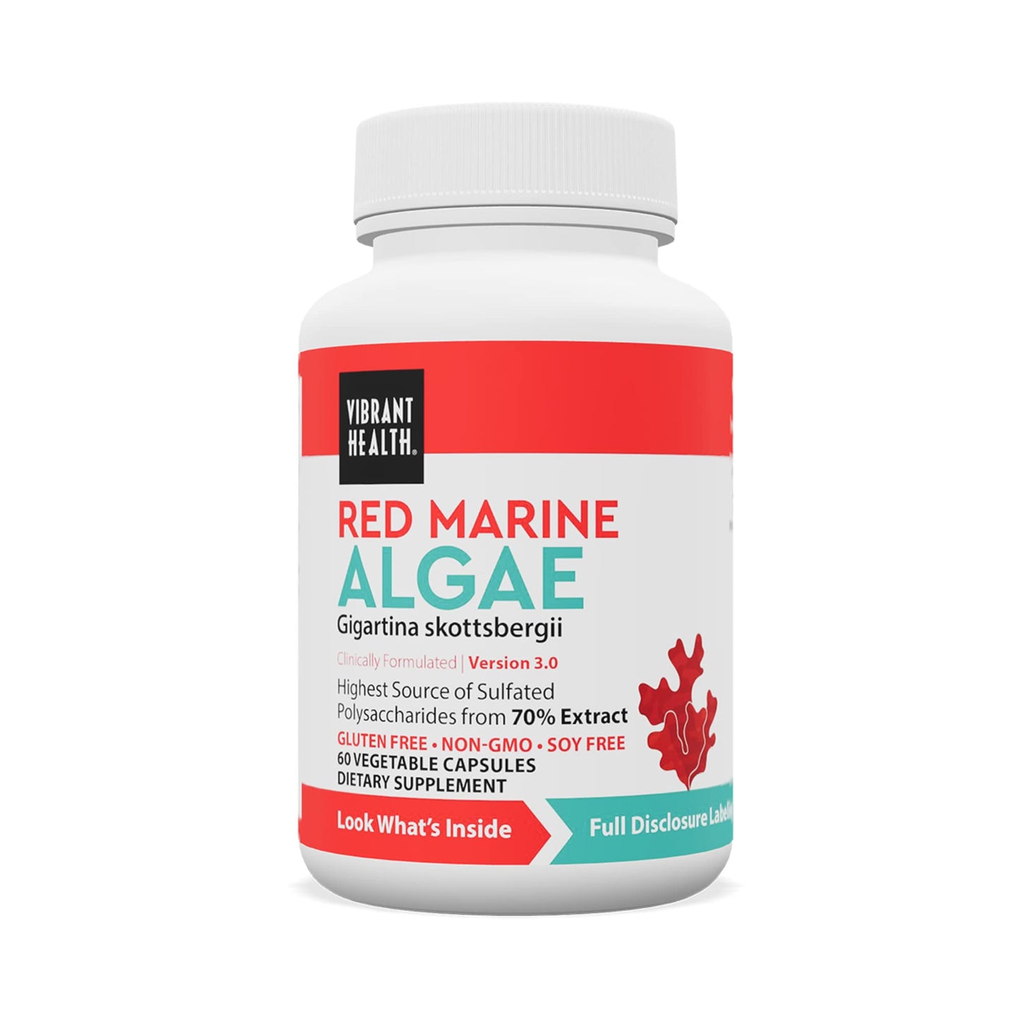 Gigartina 1000mg 60ct