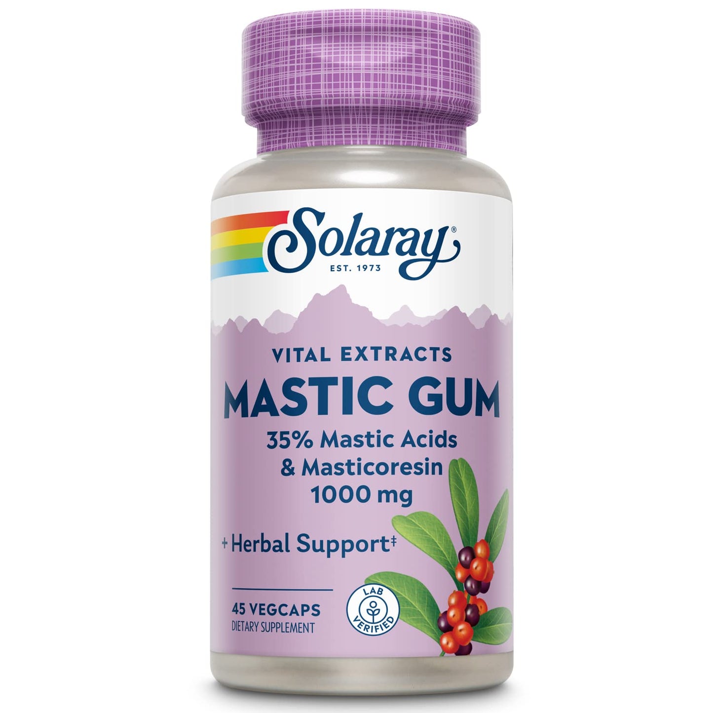 Mastic Gum Extract 500mg 45ct