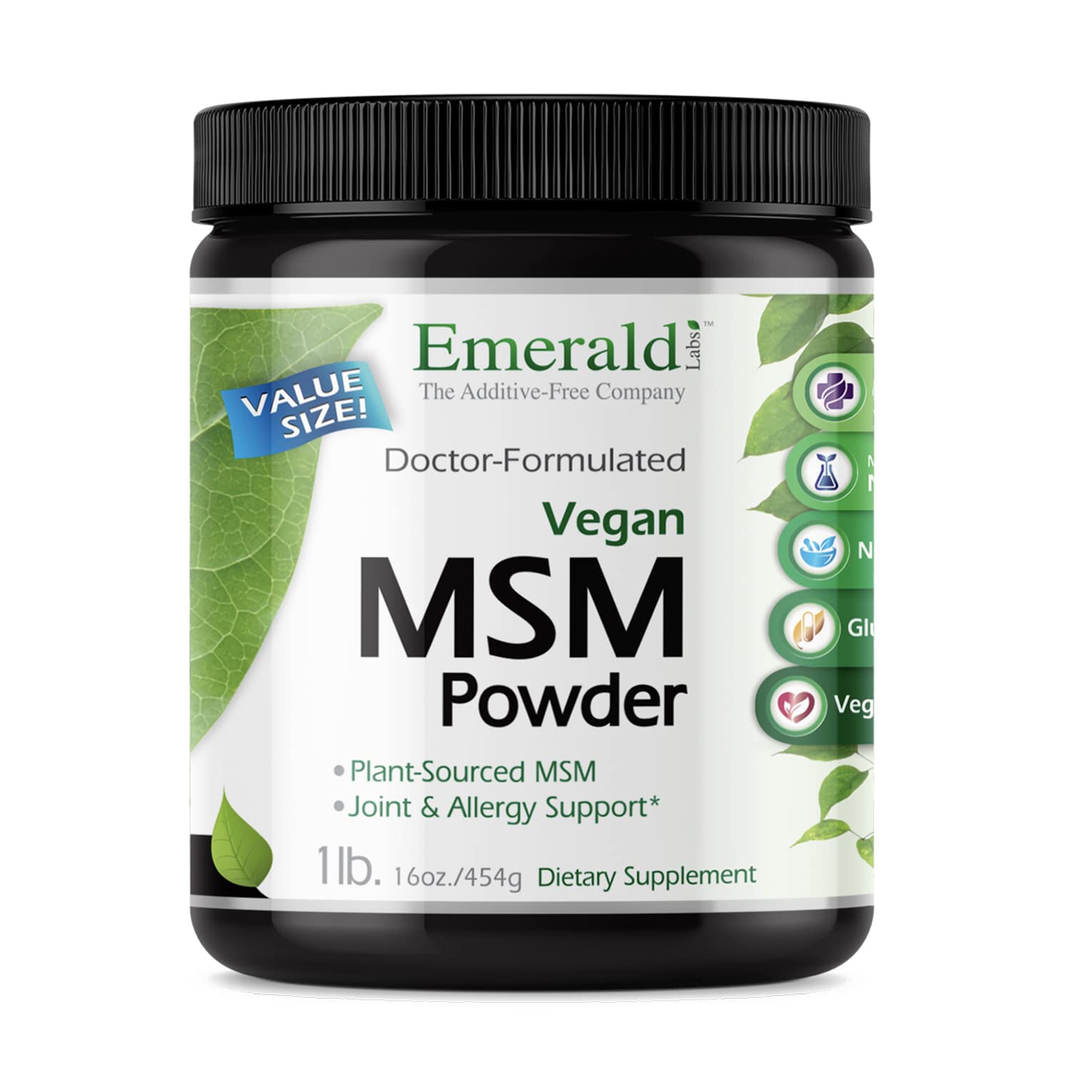 MSM Powder