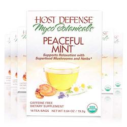 Peaceful Mint Tea 16ct