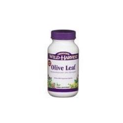 Olive Leaf 350mg 90ct
