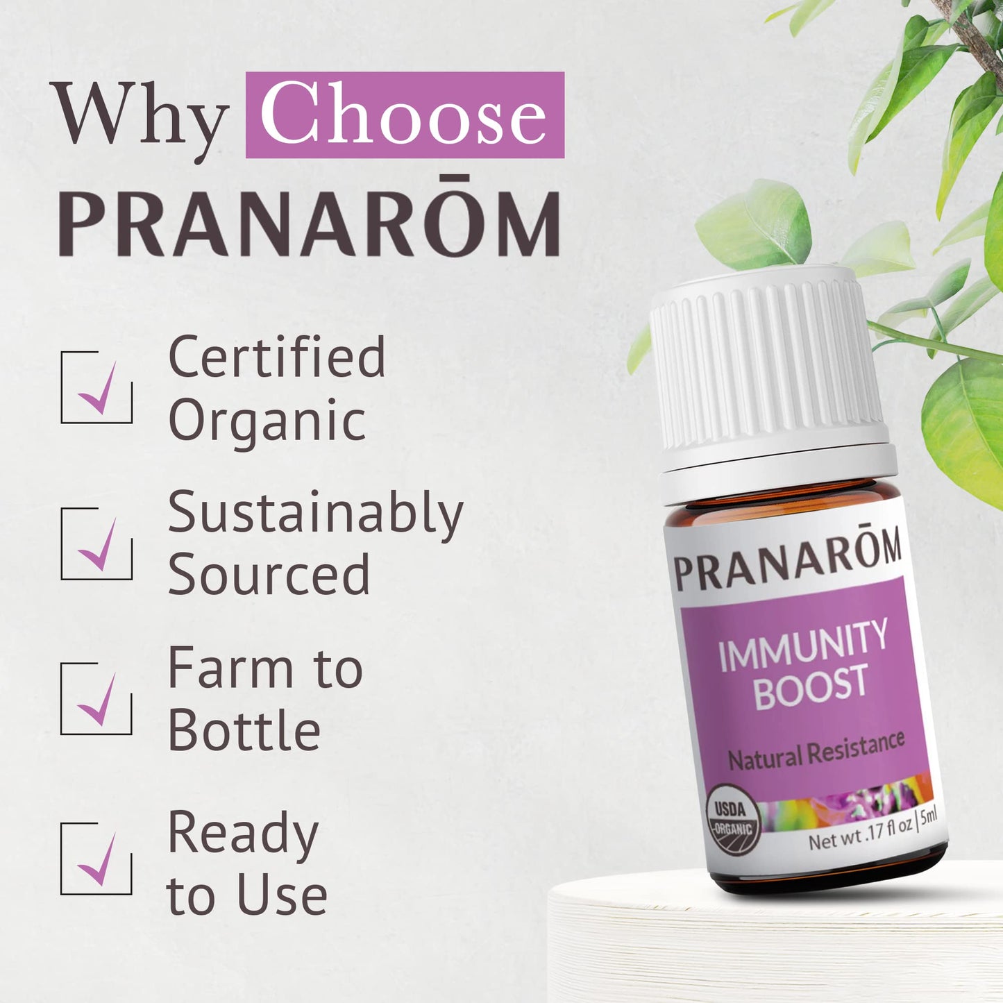 Immunity Boost Blend 5ml