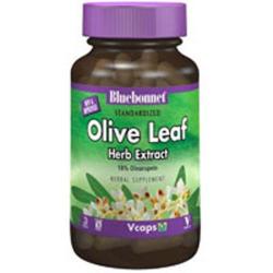 Olive Leaf Herb Extract 300mg 120ct