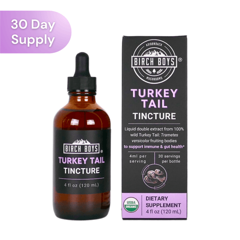 Turkey Tail Organic Tincture 4oz