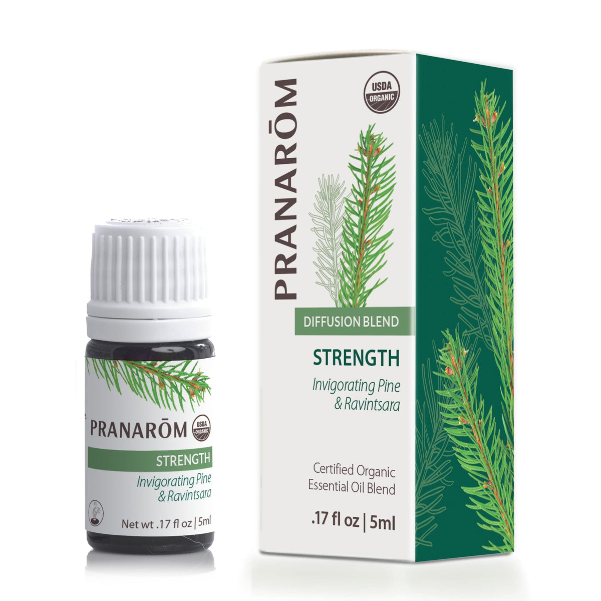 Strength Diffusion Blend 5ml
