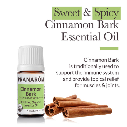 Organic Cinnamon Bark 5ml